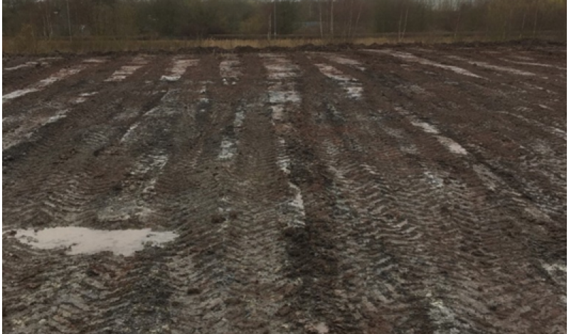 Wader scrape at Dinnington colliery site article image