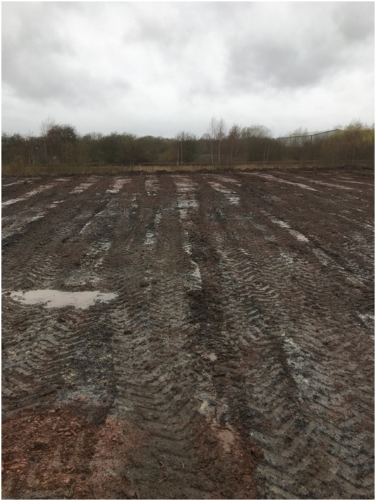 Wader scrape at Dinnington colliery site article image